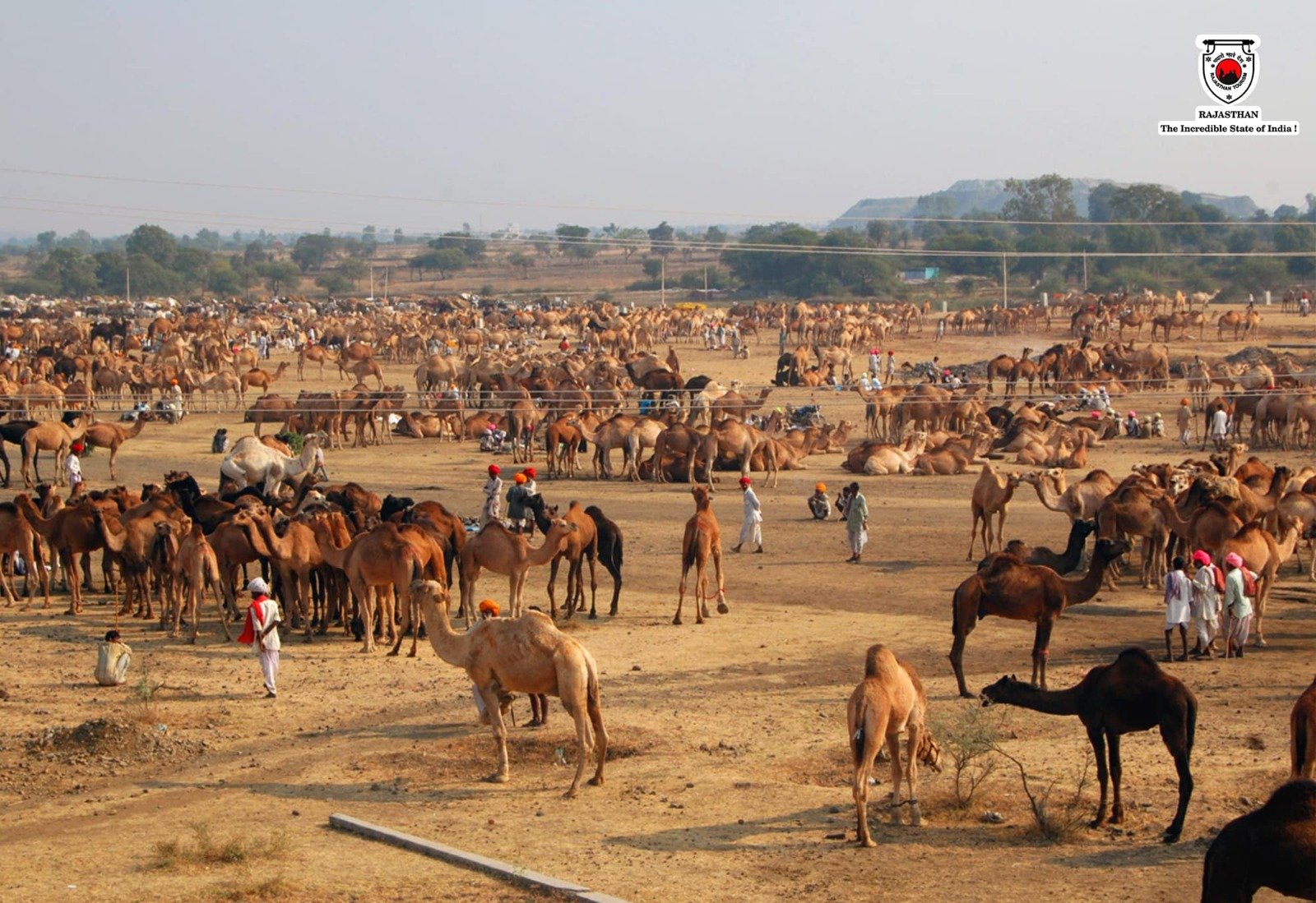 Chandrabhaga Fair in Jhalrapatan