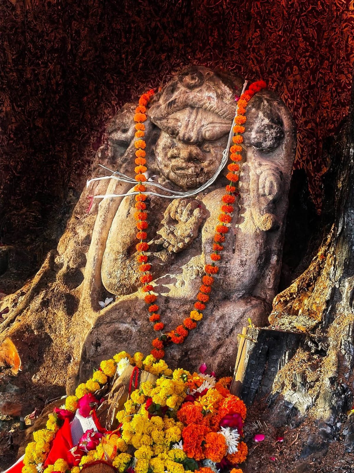 Ancient Hanuman Statue Discovered in Tree Trunk in Kishorpura, Kota
