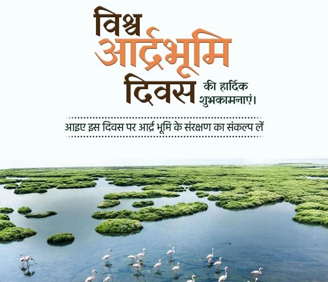 World Wetlands Day