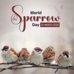World Sparrow Day