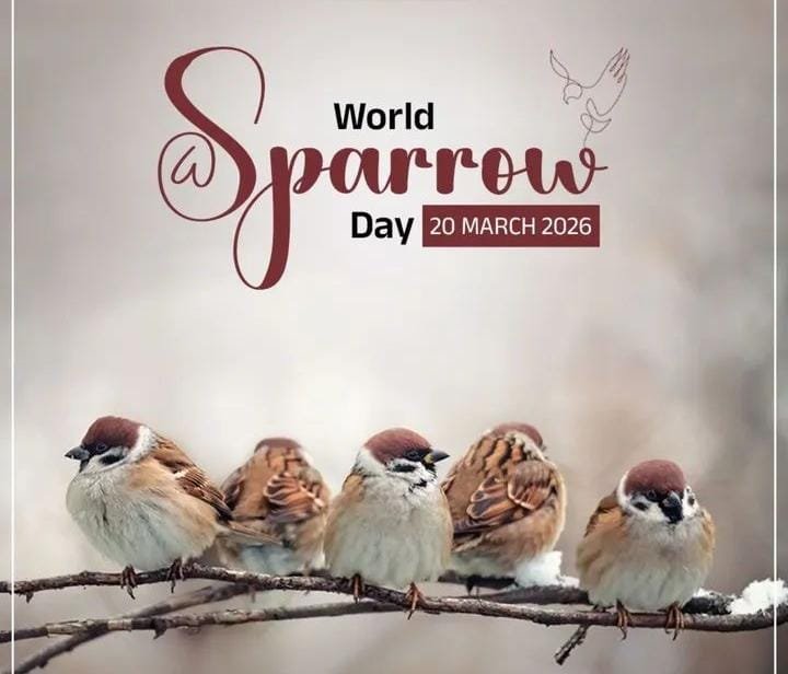 World Sparrow Day