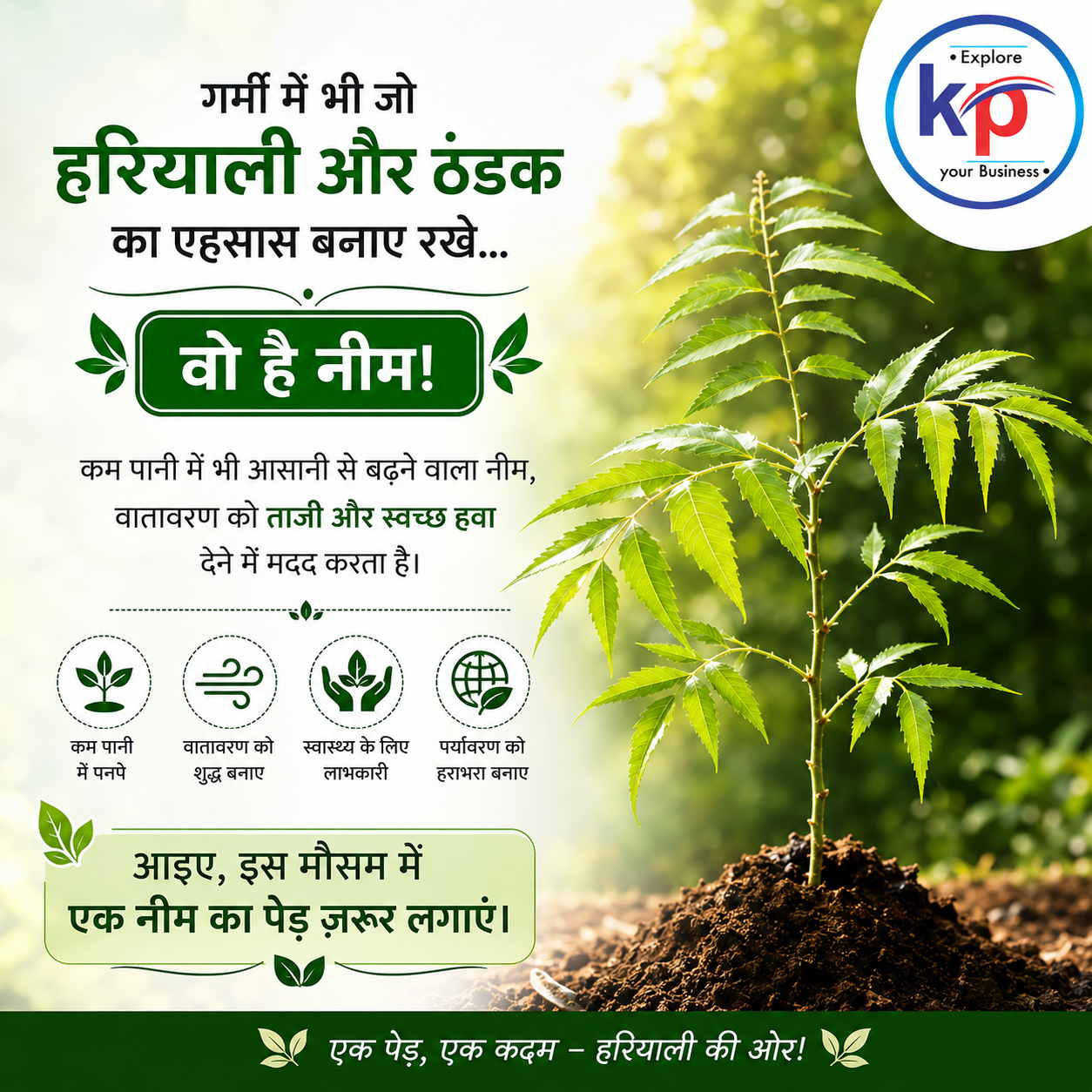 Neem Tree Benefits in Summer: Natural Cooling, Clean Air and Green Environment